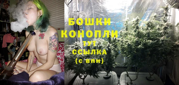 каннабис Беломорск
