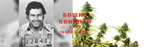каннабис Беломорск