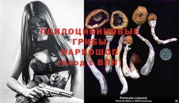гашик Белоозёрский
