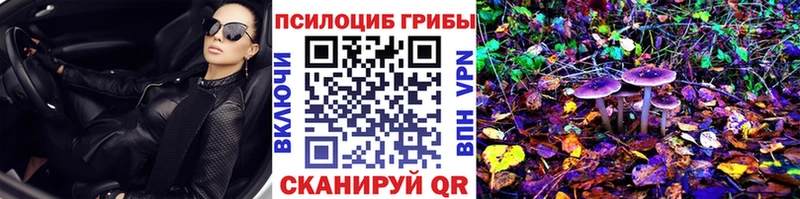 omg зеркало  Яблоновский  Галлюциногенные грибы мицелий 